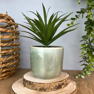 Green Reactive Glaze Ceramic Plant Pot | Planter for Succulents & Flowers - 8cm