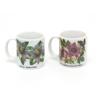 Set Of 2 Single Shot 2oz Ceramic Espresso Cups | 60ml Botanical Demitasse China Mugs | Mini Coffee Shot Cup Set