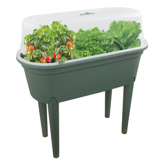 Mini Greenhouse Raised Planter With Cover | Standing Grow Table - 84x77x37cm