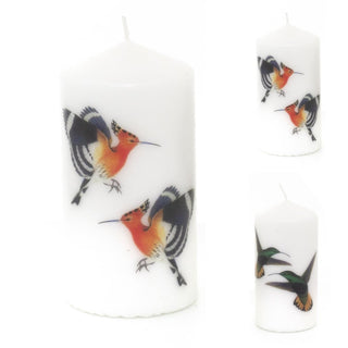 14cm Birds Of Paradise Pillar Candle | Ivory White Unscented Church Pillar Candle | Decorative Pillar Candles - Design Varies One Supplied