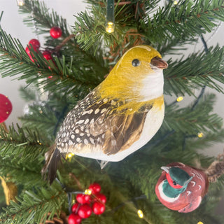 Natural Feathered Partridge Clip-On Decoration | Christmas Tree Ornament - 14cm