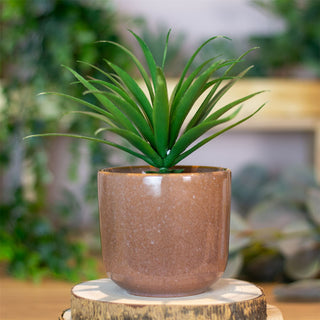 Brown Reactive Glaze Ceramic Plant Pot | Planter for Succulents & Flowers - 8cm