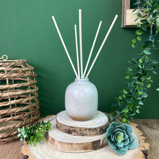 100ml Ceramic Reed Diffuser | Floral Fragrance Room Diffuser - Aroma gift