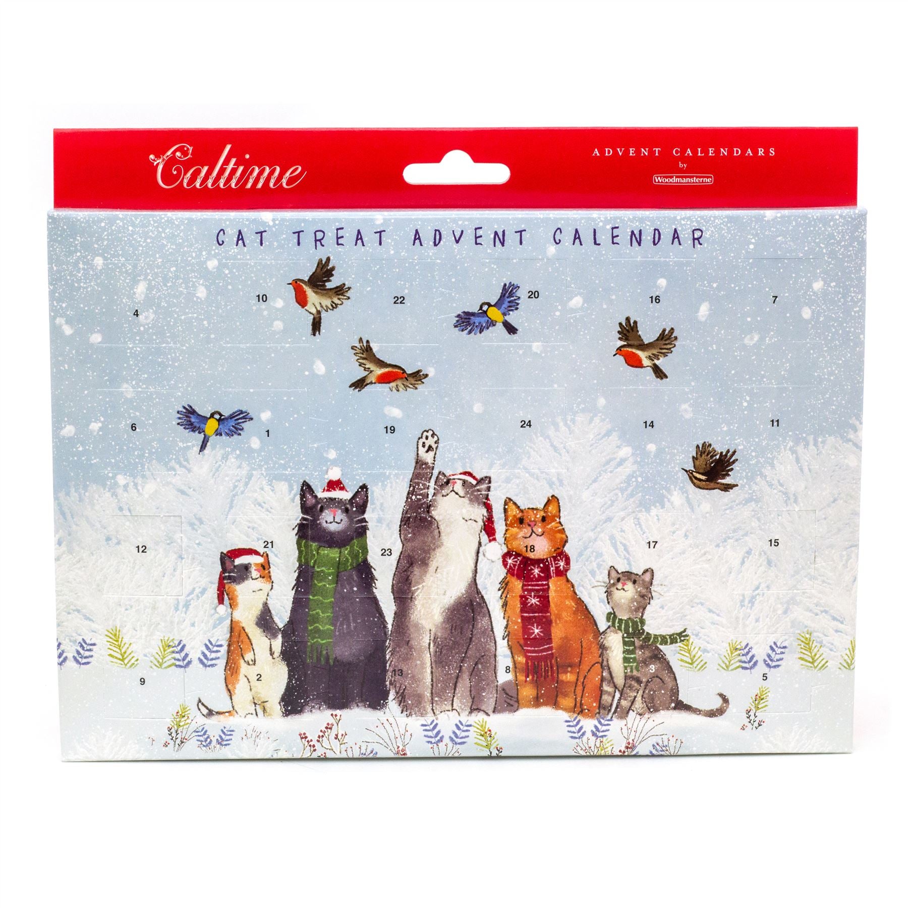 Christmas Cat Treat Advent Calendar Pet Treat Advent Calendar