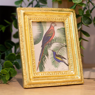 Mini Gold Resin Parrot Photo Frame | Vintage Antique Style Picture Frame 10x12cm