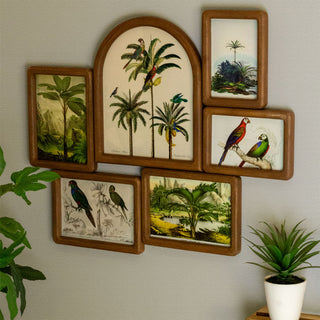 Vintage Parrot Photo Frame | Retro Mango Wood Multi Picture Frame - 55x46cm