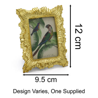 Mini Gold Resin Parrot Photo Frame | Vintage Antique Style Picture Frame 10x12cm