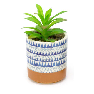 Artificial Succulent Potted Plant | Faux Plant And Ceramic Planter | Fake Plants Cactus Home Decor - Design Varies One Supplied