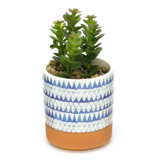 Artificial Succulent Potted Plant | Faux Plant And Ceramic Planter | Fake Plants Cactus Home Decor - Design Varies One Supplied