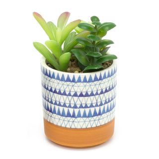 Artificial Succulent Potted Plant | Faux Plant And Ceramic Planter | Fake Plants Cactus Home Decor - Design Varies One Supplied