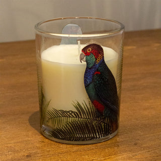 Parrot Palm Boxed Candle | Glass Candle Holder With Scented Candle - Aroma Gift