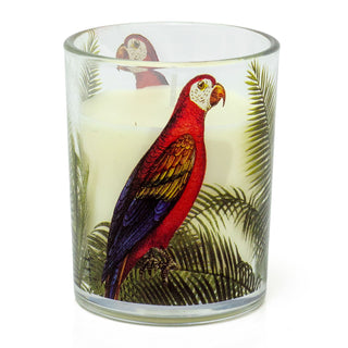 Parrot Palm Boxed Candle | Glass Candle Holder With Scented Candle - Aroma Gift