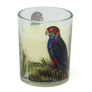 Parrot Palm Boxed Candle | Glass Candle Holder With Scented Candle - Aroma Gift