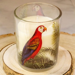 Parrot Palm Boxed Candle | Glass Candle Holder With Scented Candle - Aroma Gift