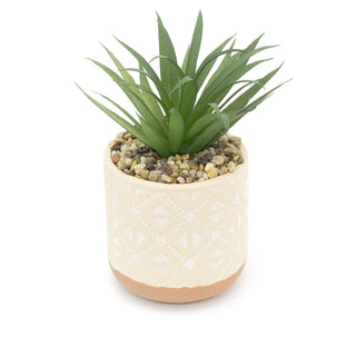 Kasbah Artificial Succulent Potted Plant | Faux Plant And Ceramic Planter | Fake House Plant Home Decor - Design Varies One Supplied