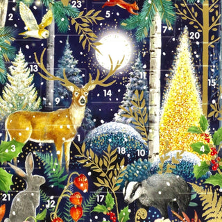 Magical Wonderland - Christmas Advent Calendar | Greetings Card & Envelope