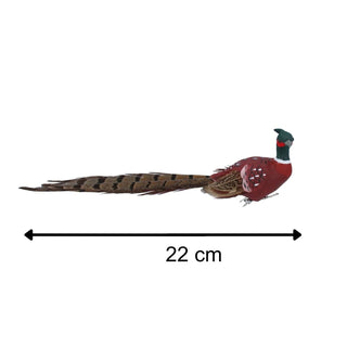 Natural Feathered Pheasant Clip - On Decoration | Christmas Tree Ornament - 22cm