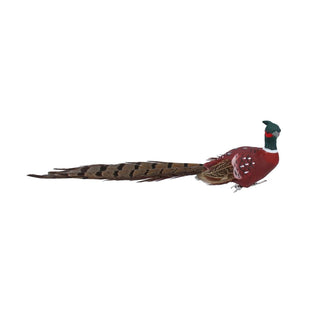 Natural Feathered Pheasant Clip - On Decoration | Christmas Tree Ornament - 22cm