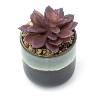 Ombre Glaze Artificial Succulent Potted Plant | Faux Plant And Plant Pot - 13cm