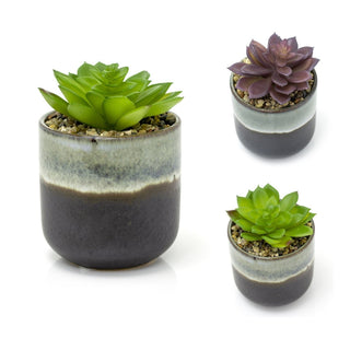 Ombre Glaze Artificial Succulent Potted Plant | Faux Plant And Plant Pot - 13cm