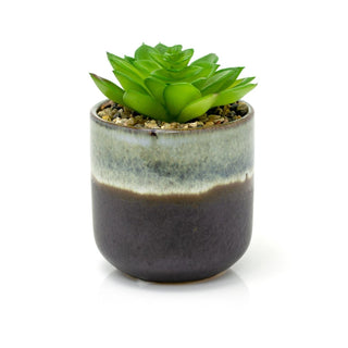 Ombre Glaze Artificial Succulent Potted Plant | Faux Plant And Plant Pot - 13cm