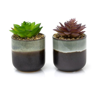 Ombre Glaze Artificial Succulent Potted Plant | Faux Plant And Plant Pot - 13cm