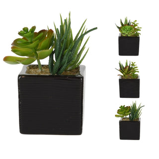 Stylish Artificial Succulent Potted Plants | Faux Plant And Ceramic Planter | Fake House Plant Home Decor