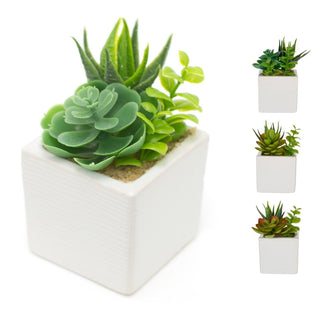 Stylish Artificial Succulent Potted Plants | Faux Plant And Ceramic Planter | Fake House Plant Home Decor