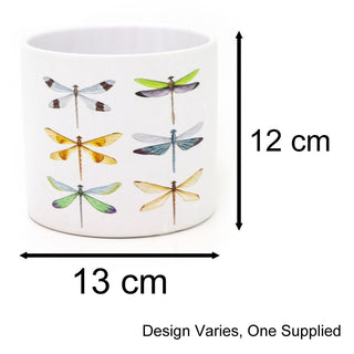 White Terracotta Planter | Nature - Inspired Butterflies and Dragonflies Plant Pot